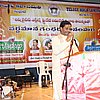 IMG_2342.JPG