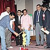IMG_7982.JPG