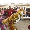 DSC01514.JPG