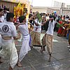 DSC01536.JPG