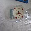 DSC01561B.JPG